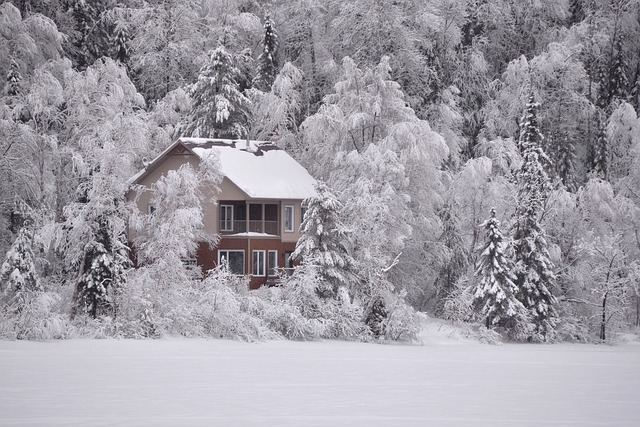 zasněžený dům v lese